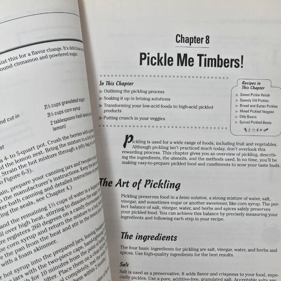 Vintage 2003 Canning and Preserving for Dummies Cookbook Reference Book - Picture 12 of 16